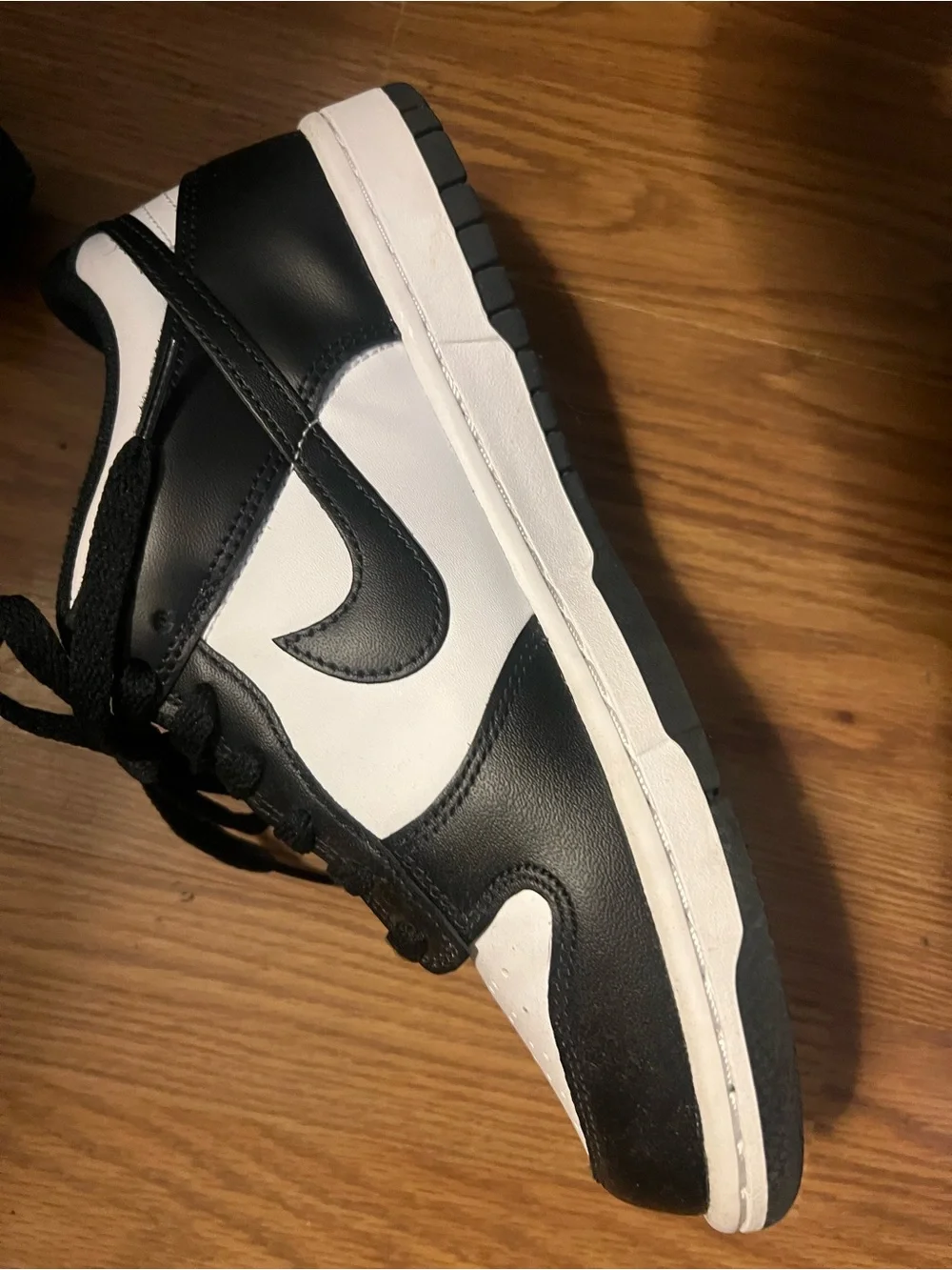 Nike Dunk Low kids